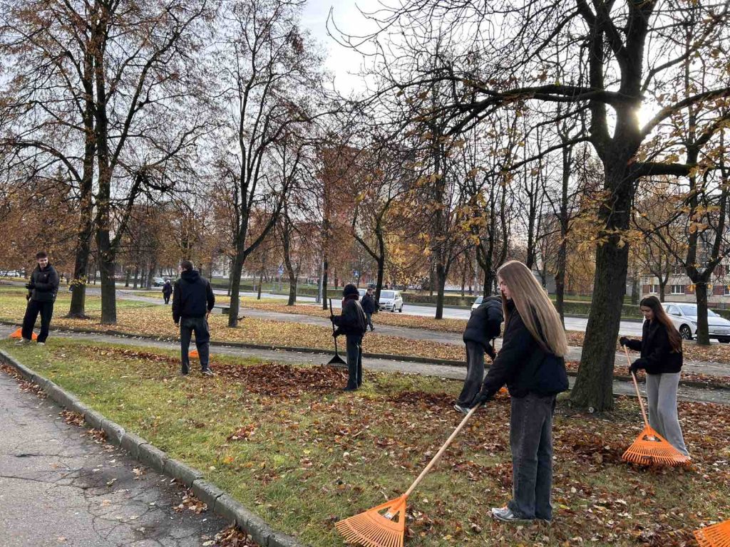 0-02-05-168631402f1efda7471b0508bc1351e83fe4a12b2975ea4699384def08fee0b9_cf7f6a55f3e423ec