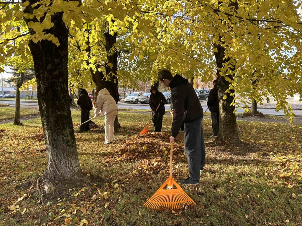 0-02-05-2bd9b597f3a53d1900e895536fee236201536a6d28f572fac2ec43598ee11b82_d970b27843958aee