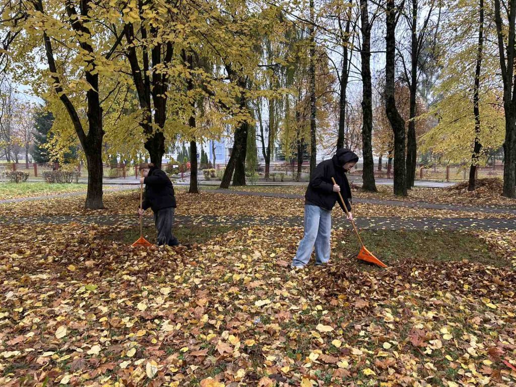 0-02-05-86a1a8e480d4c1218e8fced119458fbf22a2e20a9fbfaeac7c6c3b09611c4c93_4c0db8772e1b1b8