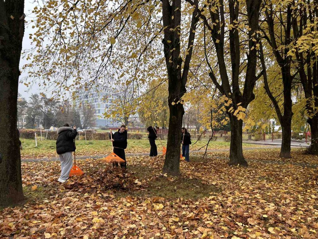 0-02-05-9503ee4ca63ff53f3f55af3d1705907b450d3421e8c3b7be45c6dde8c50088fe_e9da42345eb5b62a